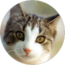 SHANTHINI R profile picture