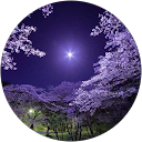 DEEPIGA S profile picture